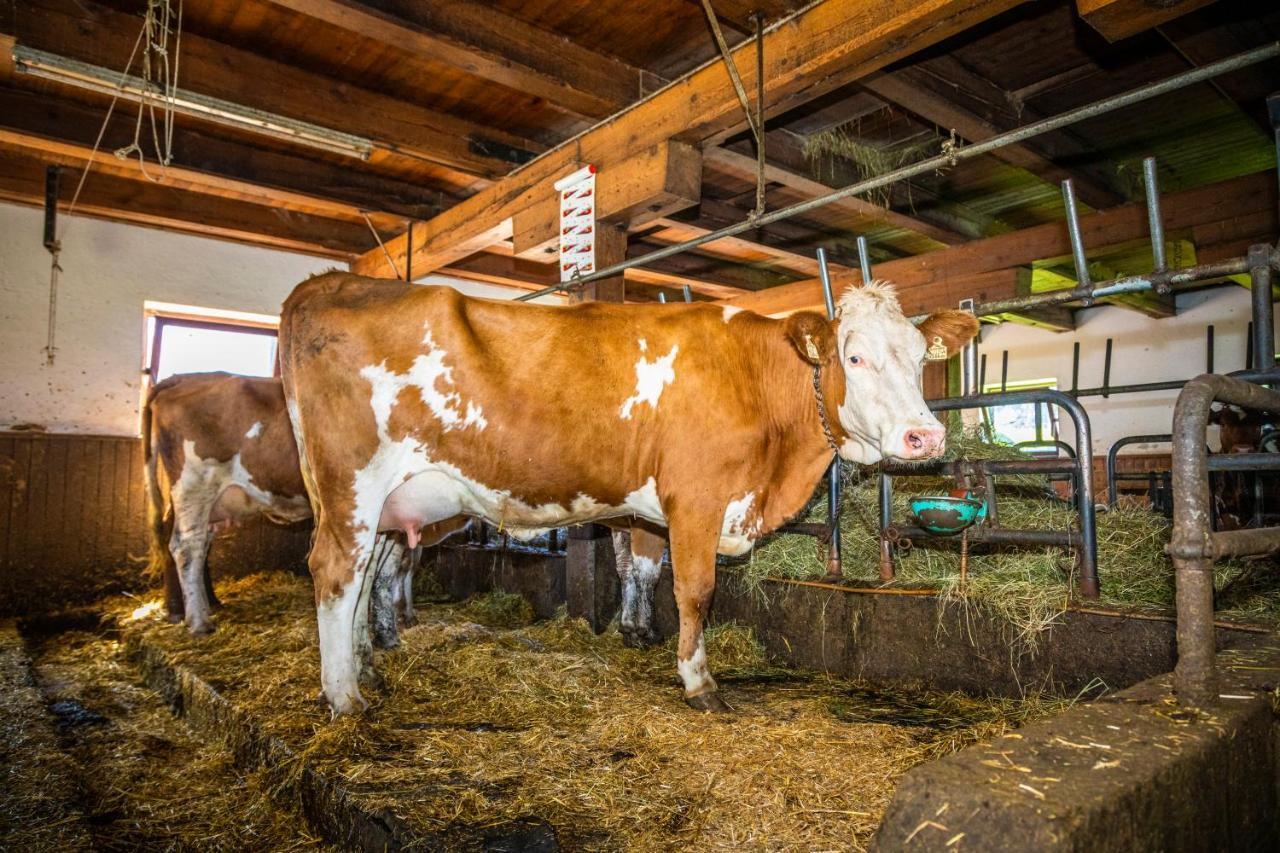 Haus Lindbichl Βίλα Sankt Johann im Pongau Εξωτερικό φωτογραφία