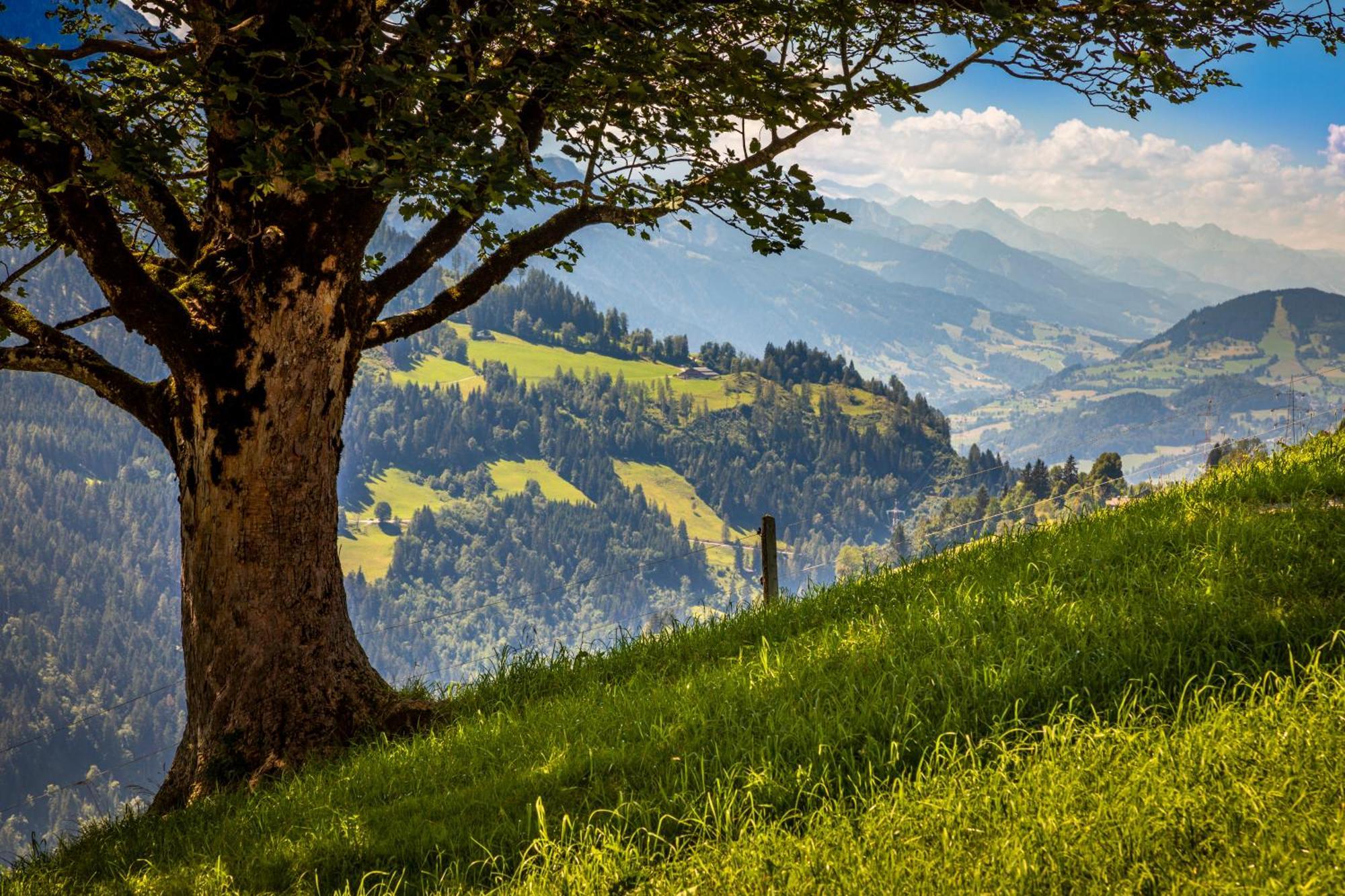 Haus Lindbichl Βίλα Sankt Johann im Pongau Δωμάτιο φωτογραφία